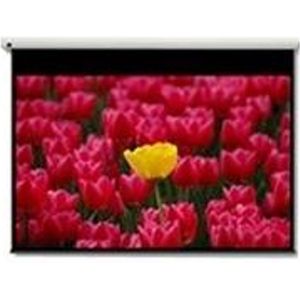 Optoma Panoview DE-9120EGA - Projectiescherm - gemotoriseerd - 120 inch (305 cm) - 16:9 - Matte White