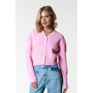 Colourful Rebel Shara Uni Knitted Cardigan - M