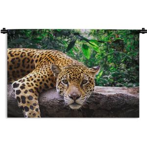 Wandkleed Diep in de jungle - Jaguar rust uit Wandkleed katoen 180x120 cm - Wandtapijt met foto XXL / Groot formaat!