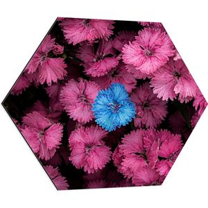 WallClassics - Dibond Hexagon - Blauwe Bloem in Roze Bloemenstruik - 70x60.9 cm Foto op Hexagon (Met Ophangsysteem)