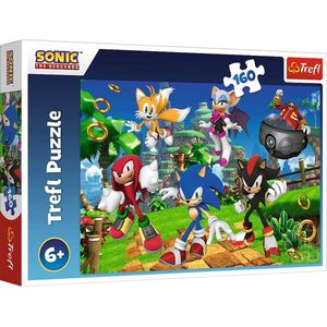 160 stukjes, Sonic & Friends