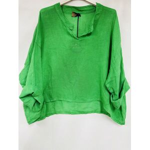 Mooi linnen korte - cropped top - v-hals hals - kraagje - raglan mouwen kleur GRAS GROEN - one size