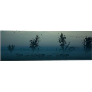 WallClassics - Vlag - Paarden in de Mist - 60x20 cm Foto op Polyester Vlag