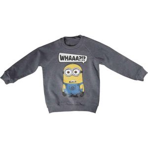 Minions Sweater/trui kids -Kids tm 8 jaar- Whaaa?!? Grijs