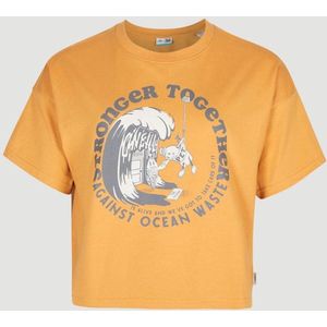 O'neill T-Shirts STREAM T-SHIRT