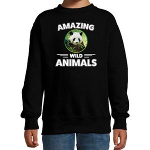 Sweater panda - zwart - kinderen - amazing wild animals - cadeau trui panda / pandaberen liefhebber 170/176