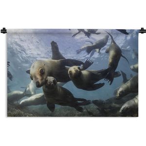 Wandkleed Zeedieren - Onderwaterfoto van een groep zeeleeuwen Wandkleed katoen 90x60 cm - Wandtapijt met foto