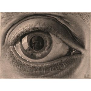 Oog - M.C. Escher (1000)