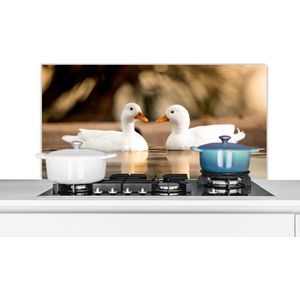 Spatscherm keuken 100x50 cm - Kookplaat achterwand Eend - Wit - Dieren - Water - Vogel - Eenden - Muurbeschermer - Spatwand fornuis - Hoogwaardig aluminium