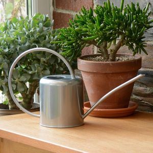 Binnengieter van verzinkt staal met poedercoating voor kamerplanten eigentijds metalen design met smalle uitloop en hoge handgreep 14 L zilver. Watering Can