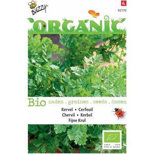 5 stuks - Buzzy - Organic Kervel (Skal 14725)
