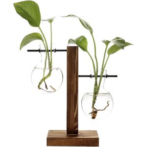 Hydrocultuur Plant Vazen Vintage Bloempot Transparante Vaas Houten Frame Glas Tafelblad Planten Thuis Bonsai Decor Drop Verzending (B - 2 Bulb Vaas)