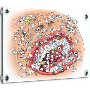 Tandarts Cartoon op plexiglas - Uniek ontwerp - Roland Hols - Gebitszorg - 30 x 40 cm - 5 mm dik - inclusief 4 afstandhouders chroom (zilverkleurig) - Decoratie - Orthodontist - Mondhygiënist