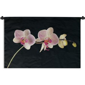 Wandkleed - Wanddoek - Orchidee - Bloemen - Zwart - Roze - Knoppen - 90x60 cm - Wandtapijt
