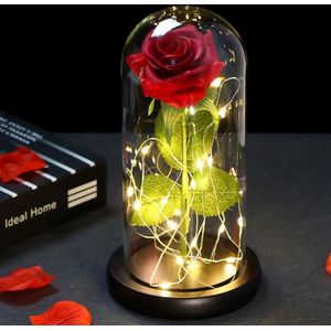 TWBEST Beauty and The Beast Rose Kit,Eeuwige Roos in Glas met LED-Licht en 1 Wenskaart,Beauty and the Beast Rose Gift Kit,Eternal Rose LED voor Moederdag,Verjaardag,Valentijnsdag,Huwelijksdag