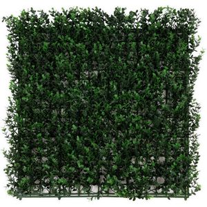 Karat Plantenwand - Buxus - Kunstplant - Kunsthaag - Decoratie - 50 x 50 cm