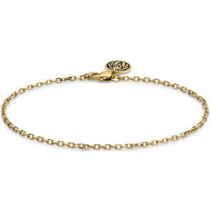Lucleon - Heren - Roestvrij Staal Schakelarmband - Goudkleurig