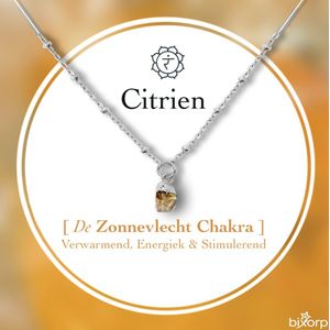 Bixorp Gems Ruwe Citrien Chakra Ketting - Zilverkleurig Roestvrij Staal - 36cm + 8cm verstelbaar