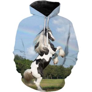 Hoodie bonte paard - 4XL - vest - sweater - outdoortrui - trui - sweatshirt