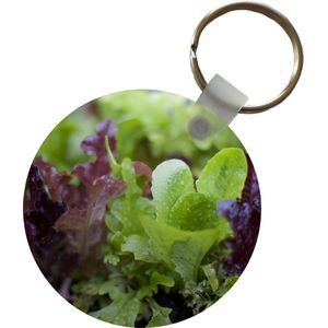 Sleutelhanger - Close-up van jonge groene en paarse sla - Plastic - Rond - Uitdeelcadeautjes