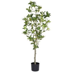 Pottery Pots - Kunstplant Pieris M - H125cm - Indoor - Green