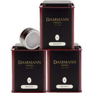 Dammann Frères - Strong Breakfast blikje N°6 - 3 x 100 gr. zwarte ontbijtthee met gratis infuser - Ceylon, Darjeeling, Assam - Volstaat voor 150 kopjes thee