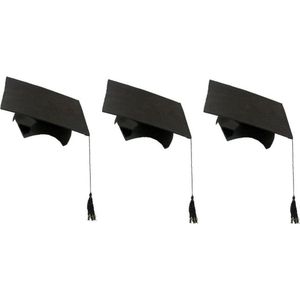 10x stuks 2-delige afstudeer hoeden geslaagd zwart met kwast voor volwassenen - Examen diploma uitreiking feestartikelen