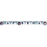Vegaoo - Happy Birthday vaandel van karton Encanto 2 m