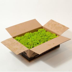 Doos rendiermos 3 kg. - mos kleur: Spring Green (voor o.a. decoratie, mosschilderij of moswand).