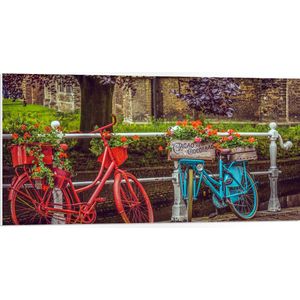 WallClassics - PVC Schuimplaat - Rode en blauwe Fiets met Bloemen bij wit Hek voor de Gracht - 100x50 cm Foto op PVC Schuimplaat (Met Ophangsysteem)