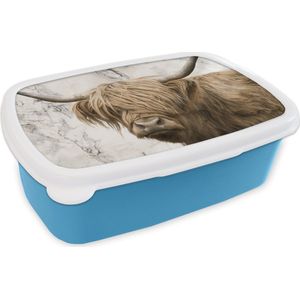Broodtrommel Blauw - Lunchbox - Brooddoos - Schotse hooglander - Marmer - Dieren - 18x12x6 cm - Kinderen - Jongen