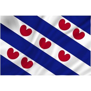 Luxe vlag Friesland/Fryslan 100 x 150 cm - Vlaggenmast vlaggen - Friese vlag voor buiten - Friesland feestartikelen