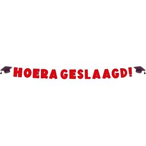 Paperdreams Letter banner - Geslaagd school 17x250cm | Letterslinger Hoera Geslaagd Feest | Geslaagd Versiering | Rijbewijs | Eindexamen | Diploma | Thuisstudie