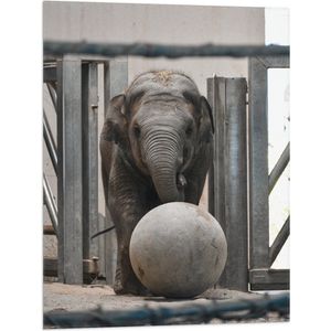 WallClassics - Vlag - Baby Olifant met een Bal - 60x80 cm Foto op Polyester Vlag