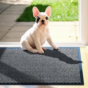 Hoogwaardige deurmat voor binnen en buiten, 43 x 60 cm, grijs, vuilvangmat, antislip, wasbaar, deurmat, voetveger, entree voor voordeur, terras, entree, keuken, honden