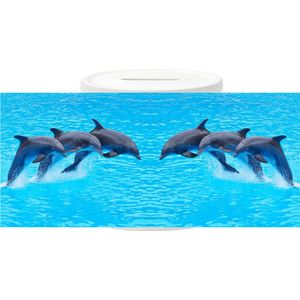 Spaarpot - 3 Dolfijnen Gespiegeld