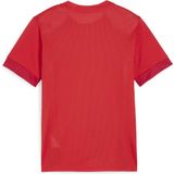 PUMA teamGOAL Matchday Jersey jr Unisex Sportshirt - PUMA Rood-PUMA Wit-Fast Rood - Maat 128