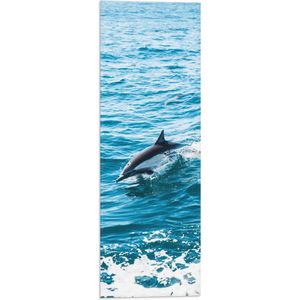 WallClassics - Vlag - Dolfijn Zwemmend in de Zee - 20x60 cm Foto op Polyester Vlag