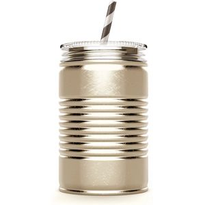 Asobu - Mason Jar I can - 540 ml - Champagne