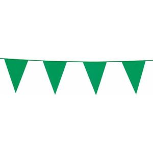 Globos Nordic Vlaggenlijn 10 Meter Polyetheen Groen