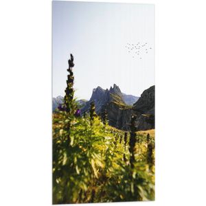 WallClassics - Vlag - Bloemen en Vogels bij Bergen - 50x100 cm Foto op Polyester Vlag