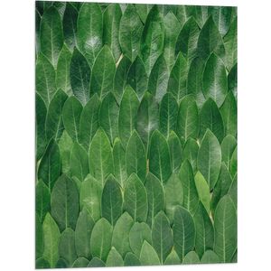 WallClassics - Vlag - Groene Blaadjes - 60x80 cm Foto op Polyester Vlag