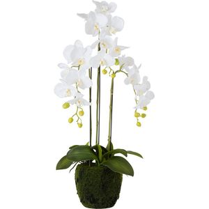 J-Line bloem Orchidee Fresh Touch - kunststof - wit - medium