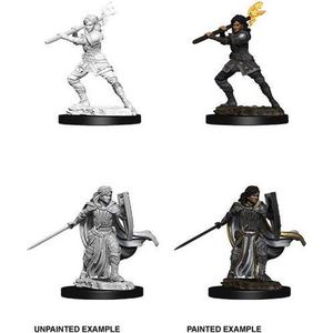 Dungeons and Dragons Miniatures - Nolzur's Marvelous - Human Female Paladin - Miniatuur - Ongeverfd