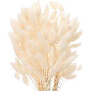 Gedroogde Pampas Gras Sticks - 50 Stuks - Fluffy Decoratieve Bloemen voor Boho Woonaccessoires
