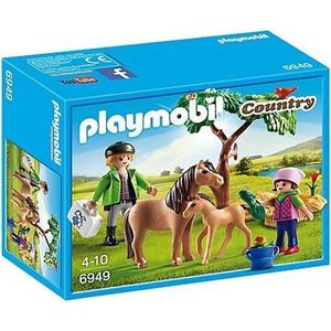 PLAYMOBIL Country Dierenarts Met Pony's - 6949