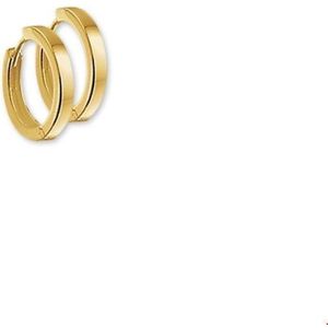 Geelgouden Klapoorringen 1 4010371