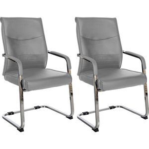 CLP Hobart Set van 2 Eetkamerstoelen - Bezoekersstoelen - Met armleuning - Verchroomd frame - grijs Kunstleer
