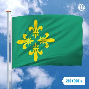 Vlag Midden-Drenthe 200x300cm