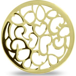 LOCKits 982500518 - Stalen Munt - 25 mm - Goudkleurig